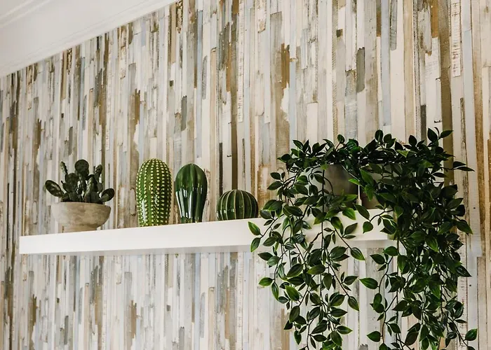 Apartmán Casa Sabrosa